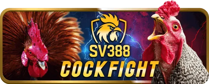 Tường lửa bảo vệ 1133win nhà cái